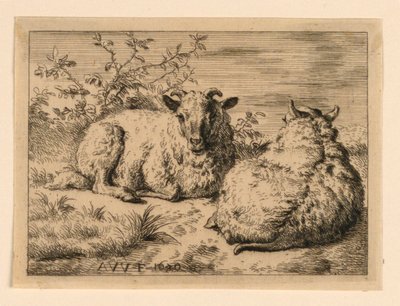 De Twee Schapen door Adrian van de Velde