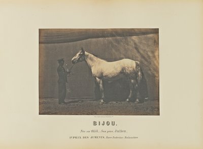 Bijou door Adrien Alban Tournachon