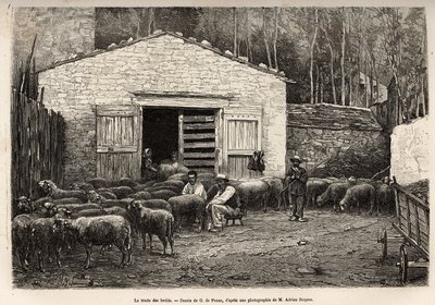 De schapenhandel, al het personeel van de boerderij werd ingezet voor deze taak, jongen, dienaar, onder toezicht van de herder, gravure naar een tekening van A.Marie, ter illustratie van een reis naar Roquefort en omgeving, door Adrien Roques en Jules Char door Adrien Emmanuel Marie