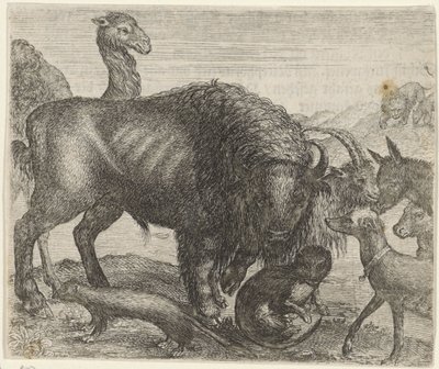 Fabel van de bizon en de andere dieren door Egidius  Sadeler (II)