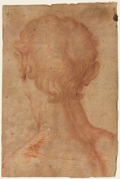 Männerkopf von hinten door Agnolo Bronzino