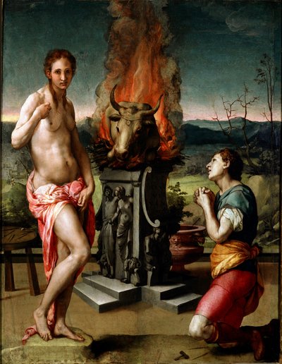 Pygmalion en Galatea door Agnolo Bronzino