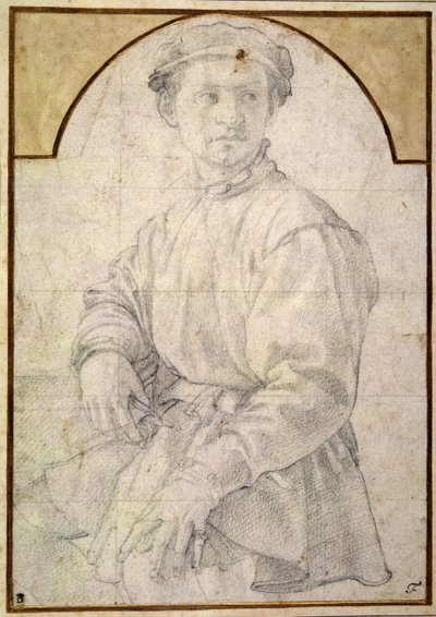 Studie voor een jonge man met een luit door Agnolo Bronzino