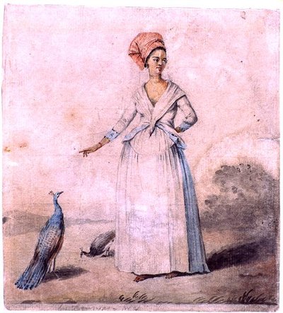 Dame met Pauw, c.1770 door Agostino Brunias