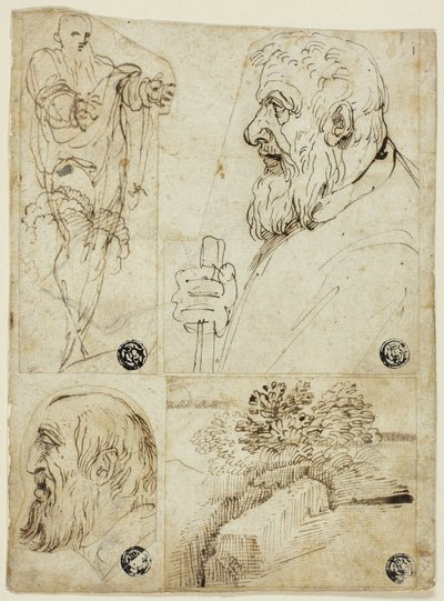 Vier schetsen: Staande mannelijke figuur; profielbuste van man met baard; profielkop van man met baard; landschap door Agostino Carracci