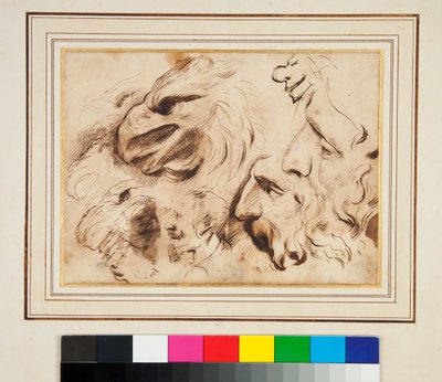 Blad met Studies van een Adelaarskop en Mannenprofielen en Karikaturen door Agostino Carracci