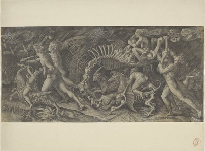 Het karkas door Agostino Veneziano