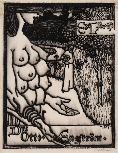  door Akseli Gallen-Kallela