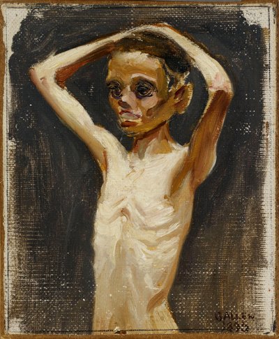  door Akseli Gallen-Kallela