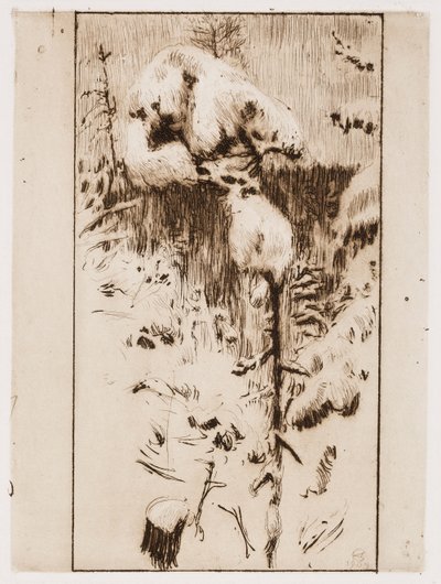  door Akseli Gallen-Kallela