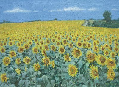 Veld met zonnebloemen, 2002 door Alan Byrne