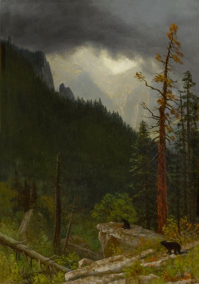 Rockies na een storm door Albert Bierstadt