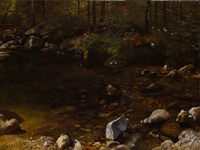Schaduwrijk zwembad, Witte Bergen, New Hampshire door Albert Bierstadt