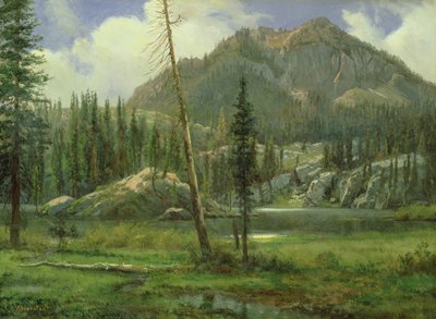 Sierra Nevada bergen door Albert Bierstadt