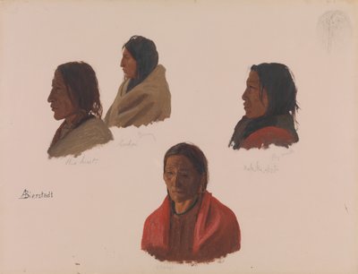 Studies van Indiaanse stamhoofden gemaakt in Fort Laramie, ca. 1859 door Albert Bierstadt
