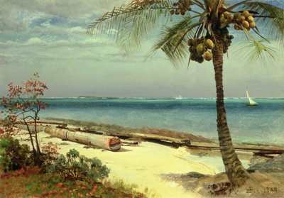 Onbekend beeld door Albert Bierstadt