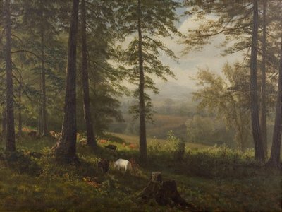 Uitzicht op een open plek door Albert Bierstadt