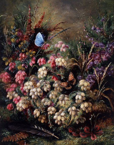 Vlinder in de heide door Albert Durer Lucas