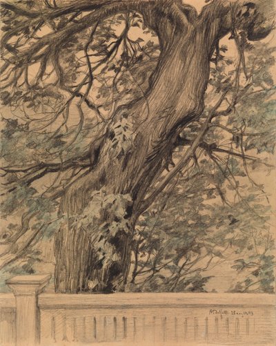  door Albert Edelfelt