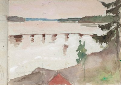  door Albert Edelfelt