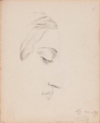  door Albert Edelfelt