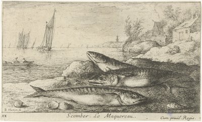 Drie makrelen op het strand door Albert Flamen