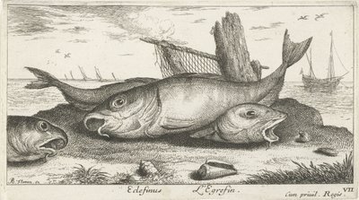 Drie schelvissen op het strand Vissen en andere zeedieren - zoutwater derde reeks Poissons de mer door Albert Flamen