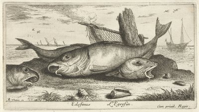 Drie schelvissen op het strand door Albert Flamen