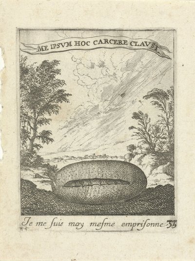 Landschap met cocon door Albert Flamen
