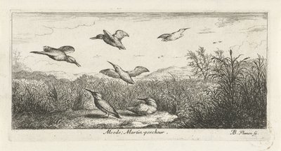 Landschap met ijsvogels door Albert Flamen