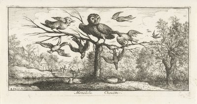 Landschap met kerkuil tussen andere vogels Monedula Chouëtte. (titel op object) Vogelboek (serie titel) Livre d