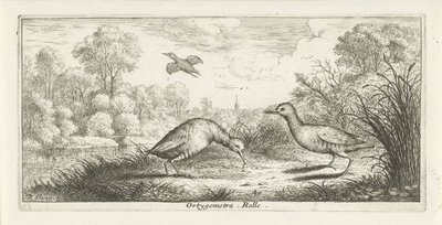 Landschap met twee rallen op een oever door Albert Flamen