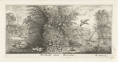 Landschap met watersnip Rusticula minor. beccassine. (titel op object) Vogelboek (serie titel) Livre d