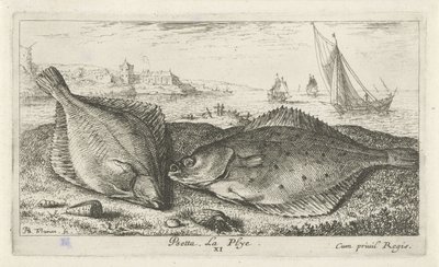 Twee platvissen op het strand door Albert Flamen