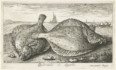 Twee schollen op het strand door Albert Flamen