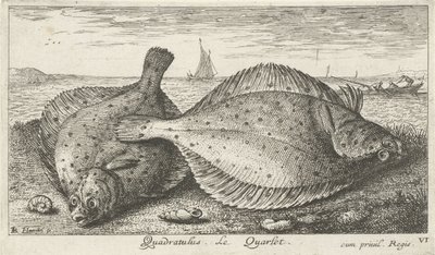Twee schollen op het strand door Albert Flamen