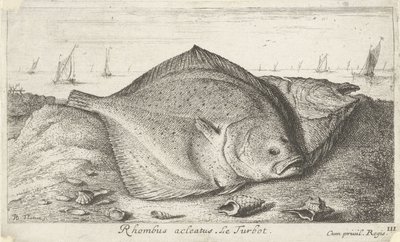 Twee tarbotten op het strand door Albert Flamen