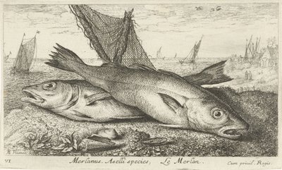 Twee wijtingen op het strand door Albert Flamen