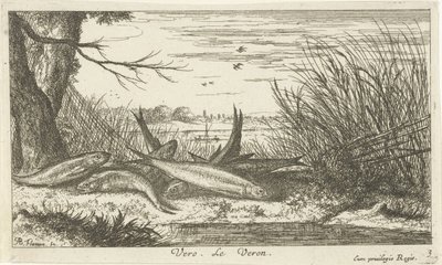 Voornen op een rivieroever door Albert Flamen