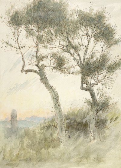 Studie van twee bomen door Albert Goodwin