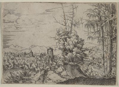 Landschap met Twee Pijnbomen door Albrecht Altdorfer