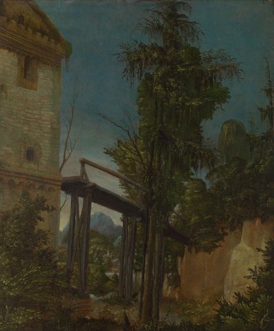 Landschap met een voetbrug door Albrecht Altdorfer