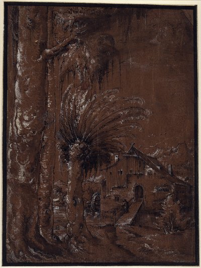 Landschap met watermolen door Albrecht Altdorfer