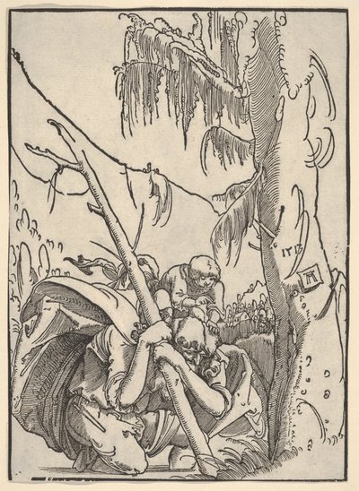  door Albrecht Altdorfer