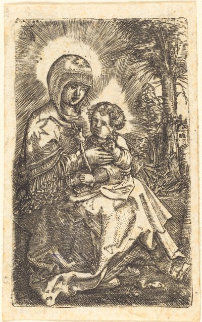 De "Mooie Maagd" van Ratisbon in een landschap door Albrecht Altdorfer