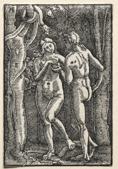 De Val en Verlossing van de Mens: Adam en Eva die de Verboden Vrucht Eten door Albrecht Altdorfer