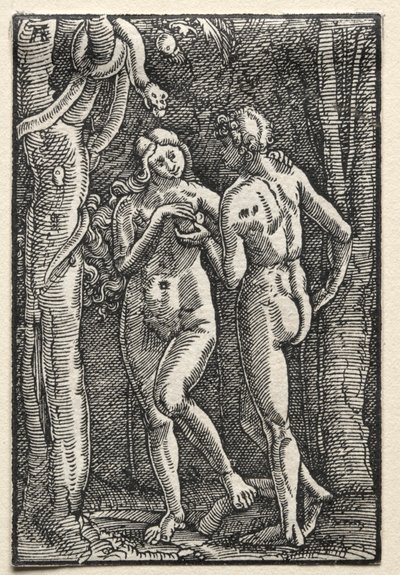 De val en verlossing van de mens: Adam en Eva eten de verboden vrucht, ca. 1515 door Albrecht Altdorfer