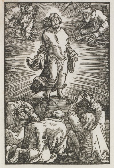 De Val en Verlossing van de Mens: De Transfiguratie door Albrecht Altdorfer