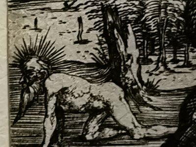2021 - Tweede batch Mateus2019 in juli (72) door Albrecht Dürer
