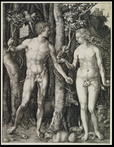  door Albrecht Dürer